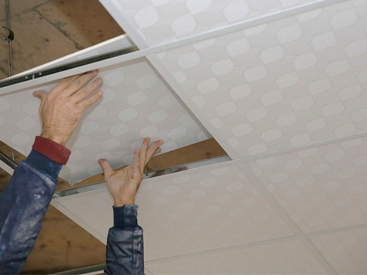 Bom preço Materiais de Teto de Gesso de PVC Ecológicos Fornecendo Opções Sustentáveis para Projetos de Construção Verde e de Energia on-line
